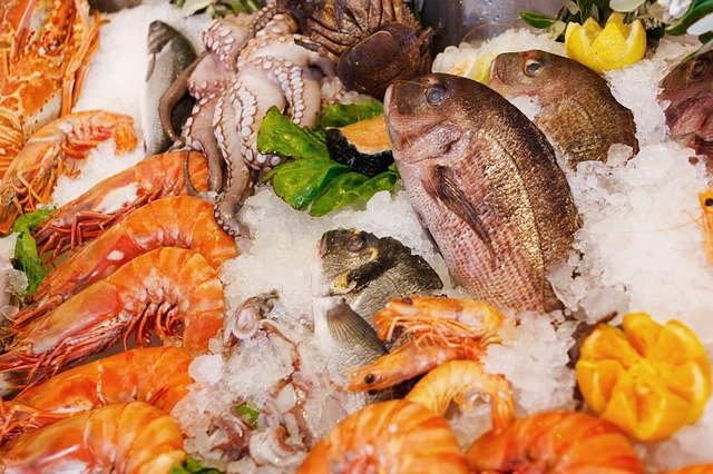 seafood-gbf2ca0ce7_640