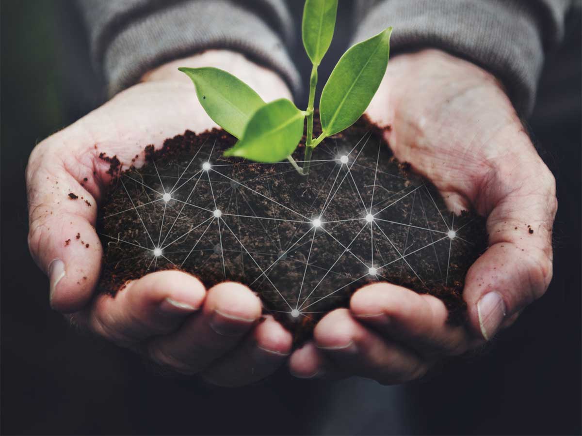 smart-farming